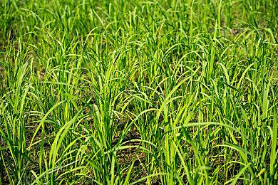 《超自然车旅》发布大型更新档 加入不同难度设定