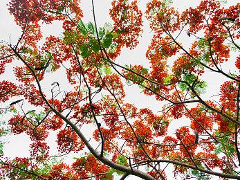 《光环：无限》多人模式IGN 9分：期望极高符合预期